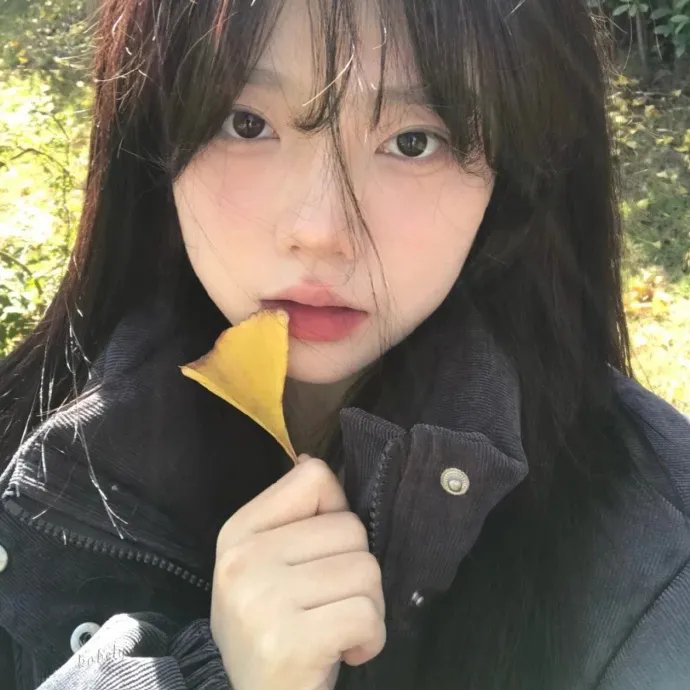 上季之后